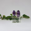 amethyst - www.toen-ennu.nl
