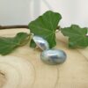 nautilus - toenennu.nl